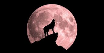 Full Moon In Cancer